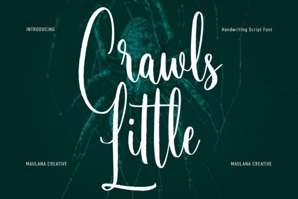 Little Crawls: The Contemporary Script Font for Digital Design